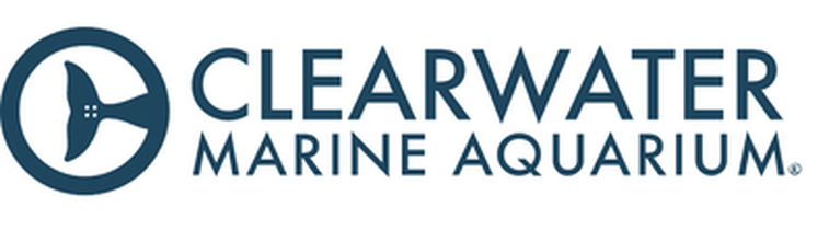 Up to 50% OFF | Clearwater Aquarium Discount Code &amp; Coupon Codes - Jan ...